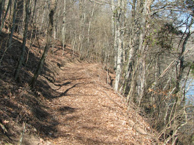 trail along the lake at Bledsoe Creek