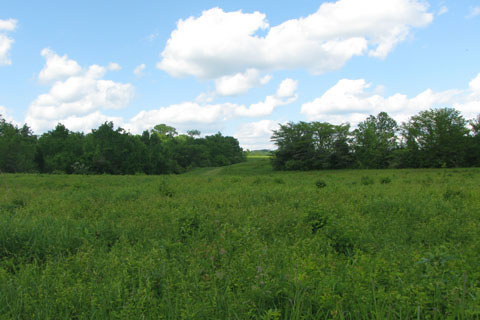 Bells Bend Loop Trail