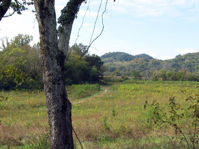 a field at Bells Bend Park