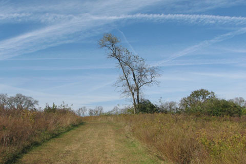 Path at Bells Bend