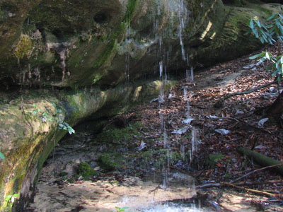 small waterfall passed on the trail