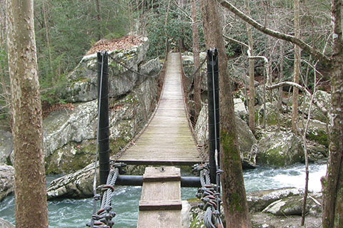 suspension bridge over Collins River