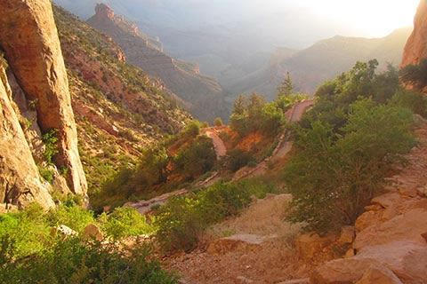 Bright Angel Trail