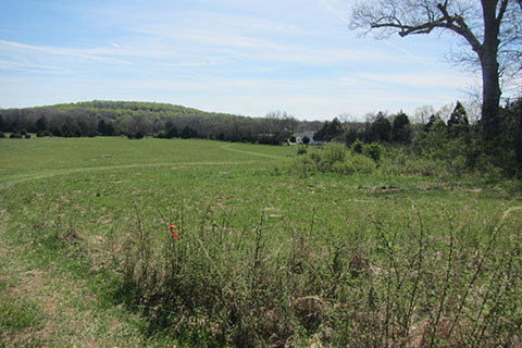 Entering the fields on the back half of the running course