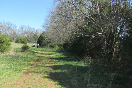 walkers on the course