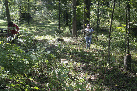 Gathering wood at a work day