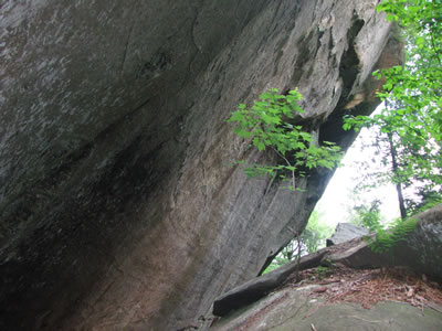 cliffs below the rim of the gorge