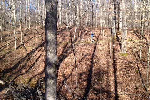 Creech Hollow Trail