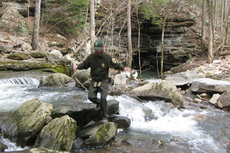 crossing Collins Creek