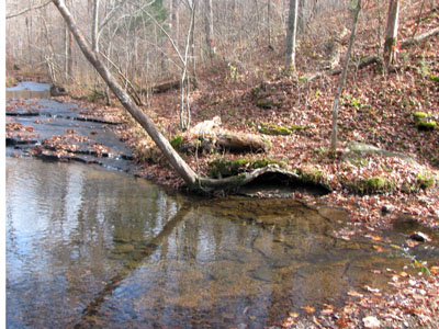 creek along the trail