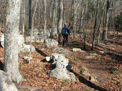 along the Day Loop Trail, Long Hunter State Park