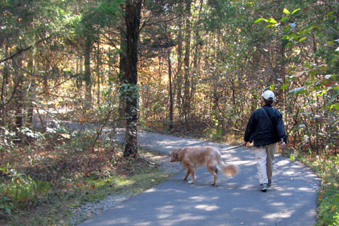 Walking Jake on a greenway