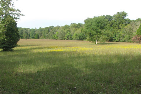 the Enclosure fields