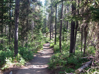 string Lake trail