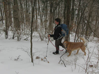 snowy trails in Edwin Warner Park