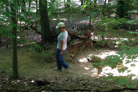 hiking with Jake on a wooded trail