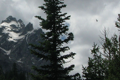 helicopter in the tetons