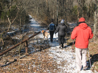 Hidden Lake of Harpeth River State Park