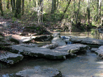 hidden springs at Cedars of Lebanon 