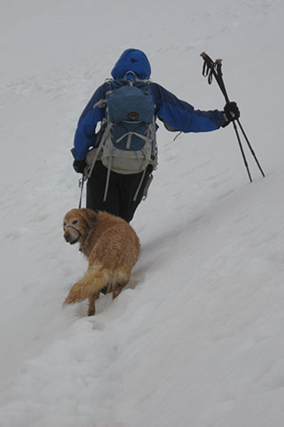 Jake crossing a snow slope on leash