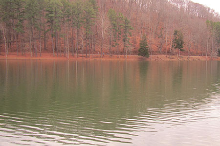 View of the Lake from one of the boat houses