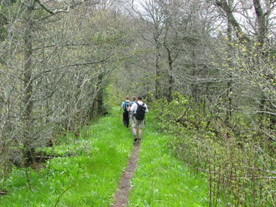 LeConte Trail