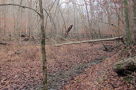 Mitt Creek Bridge