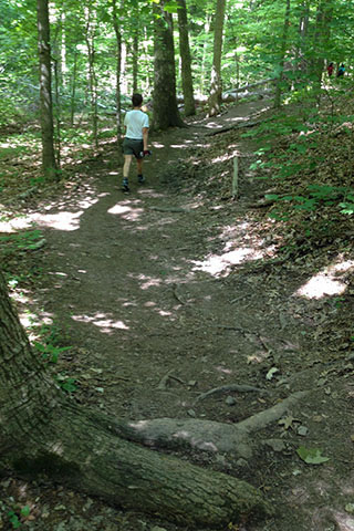 walking on the trails of Warner Park