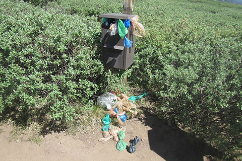 Poop bags near a bag dispenser on Bierstadt