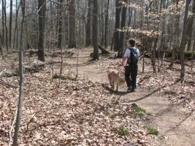 Mossy Ridge Trail