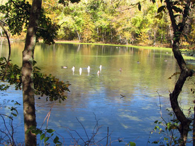 Radnor Lake