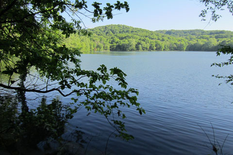 Radnor Lake 