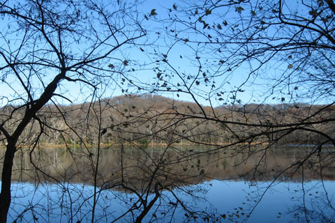 Radnor Lake