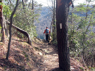 Rim Trail overlook