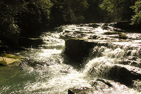 The cascading Savage Falls of Savage River