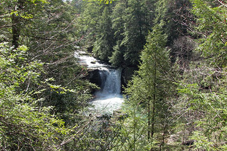 Savage Falls from the North Rim Trail