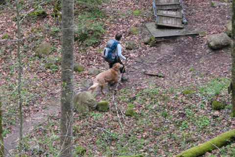 south Cumberlan Trail