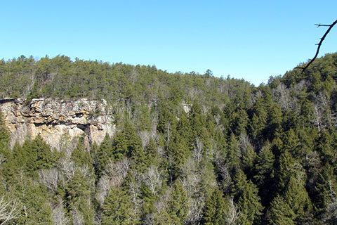 South Rim Overlook over Savage Gulf