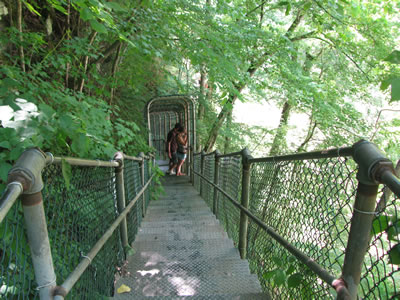 stairs leading to the base of the falls