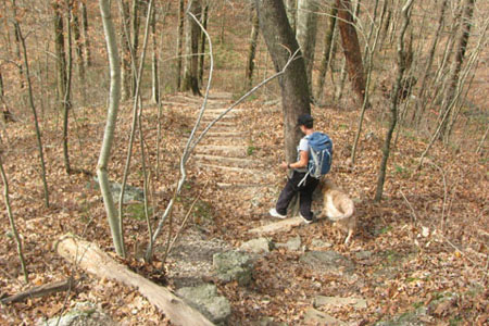 steep trail leads to Machine Creek