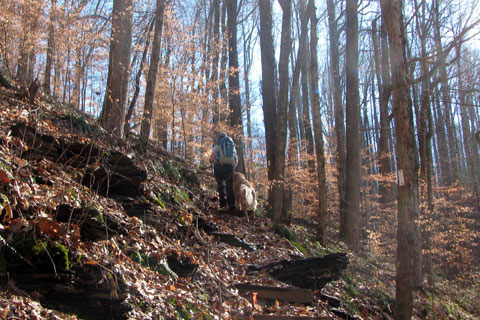 Steep Trail on Merritt Ridge