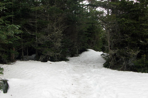 snowy summit