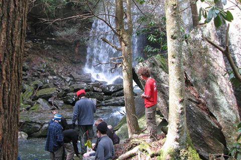 group below Suter Falls