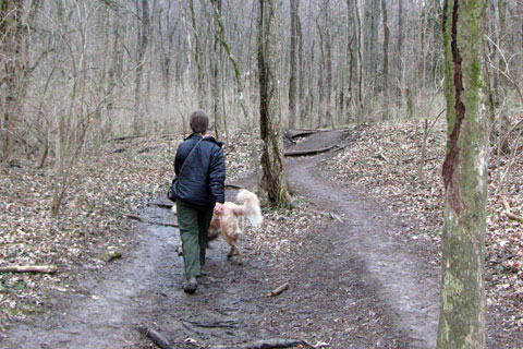 Trail damage from not walking on the tread