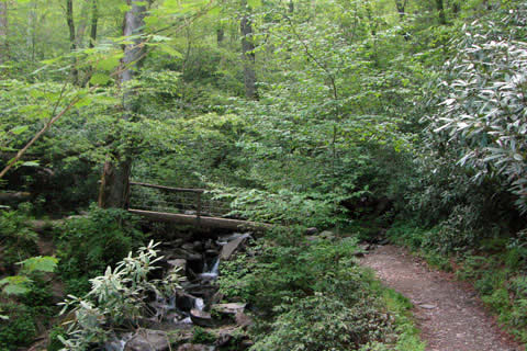 Upper bridge on Alum Cave Trail