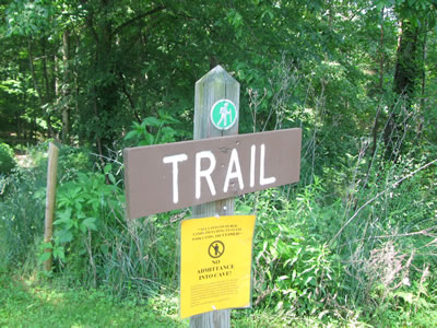 start of the trail