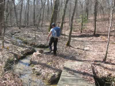 a creek on the Upperloop Trail