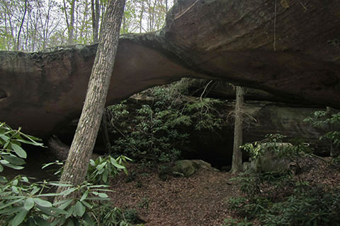 Under the Natural Bridge