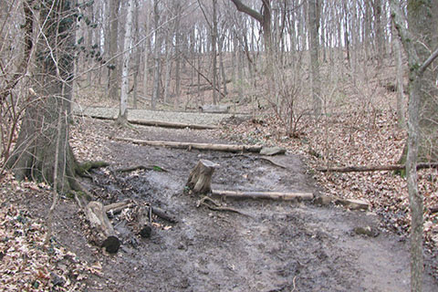 muddy trail below a crossing road