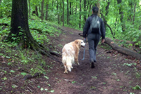 on the Warner Woods trail